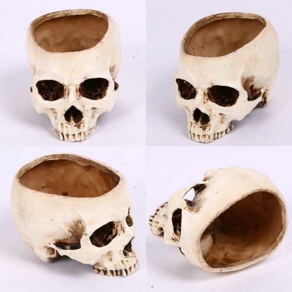 Skull Flower Pot